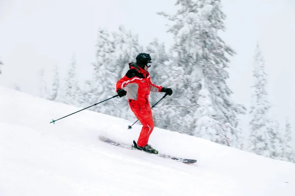 俄罗斯 谢雷格什2018 专业滑雪者在明亮的运动服和装备滑雪下坡在雪阳光明媚的高山 软聚焦 物体在运动 安全休息的概念 — 图库照片