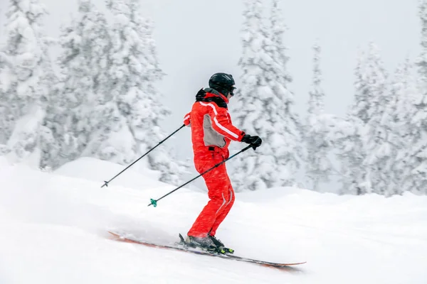 Russland Sheregesh 2018 Professioneller Skifahrer Heller Sportbekleidung Und Outfit Beim — Stockfoto