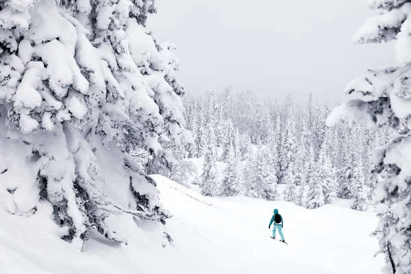 Rússia Sheregesh 2018 Esquiadores Profissionais Sportswear Brilhante Roupas Esqui Downhill — Fotografia de Stock