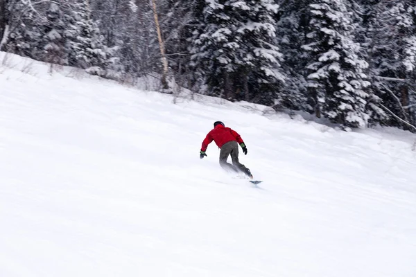 Rusya, Sheregesh 2018.11.18 profesyonel snowboard parlak spor giyim ve yokuş aşağı karlı güneşli yüksek dağlarda at binme kıyafeti. Bulanıklık, yumuşak odak, nesne hareket. Kavram freeride, tehlike spor