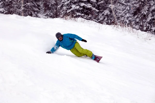 Ρωσία Sheregesh 2018 Επαγγελματίας Snowboarder Φωτεινό Αθλητικά Είδη Και Στολή — Φωτογραφία Αρχείου