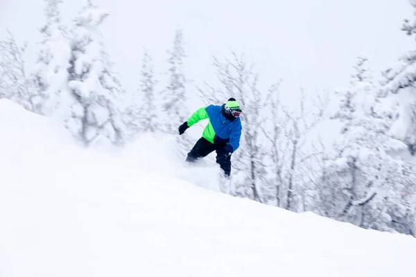 Oroszország, Sheregesh 2018.11.18 szakmai snowboardos világos — Stock Fotó