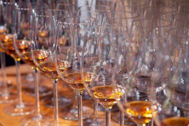 Konyak ile şarap bardakları satırda ahşap ayakları üzerinde Closeup temizleyelim. Yan görünümü. Degüstasyon ruhları kavramı: viski, konyak, porto, acı, sherry barmenler sommelier Yarışması ve Sergisi