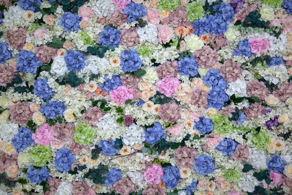 Closeup background, wallpaper fresh flowers white, pink, purple,