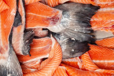 Yakından bakınca, kafasında taze somon balığı var. 