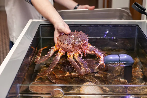Beyaz üniformalı şef aşçı michelin restoran taze tutuyor 