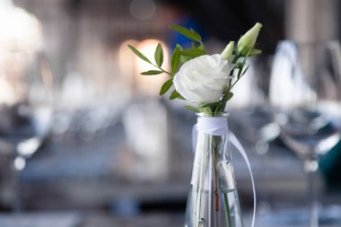 Modern restoran dekorasyonu, çiçekli cam vazo.