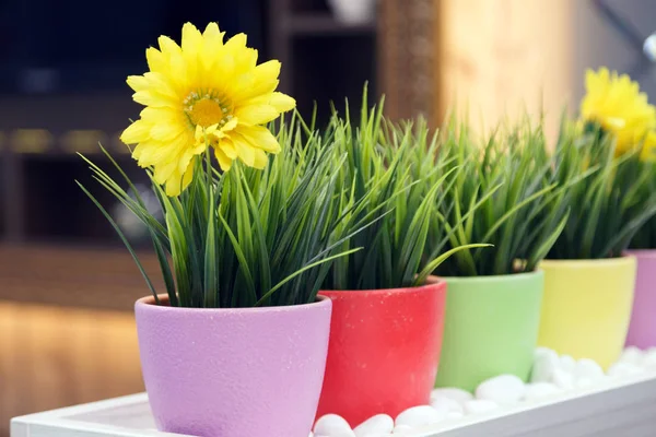 Close-up of multi-colored flower pots with green artificial gras