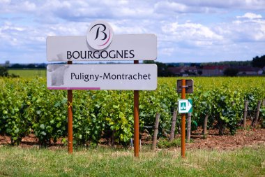 Fransa Burgundy 2019-06-20 Güzel manzaralı yaz manzarası 
