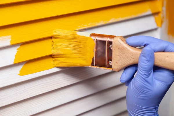 Paintbrush boya ile mor kauçuk eldiven closeup kadın el