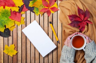 Sonbahar yaprakları, beyaz defter, kalem, çay fincanı kadınların elinde.
