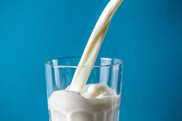 Splashing milk in a glass on a blue background