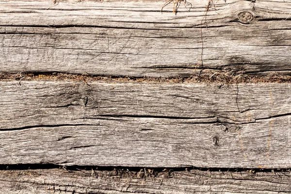 Крупним Планом Вид Старий Фон Текстури Дерева Природи — стокове фото