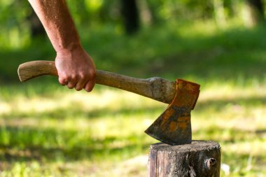 Genç adam orman içinde ahşap doğrama