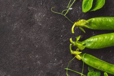 Taze, yeşil bezelye roew üstten görünüm kopya alanı ile koyu arka plan üzerinde