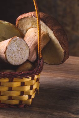 Natürmort orman mantar sepeti koyu arka plan üzerinde