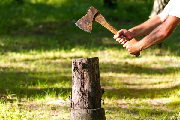 Jovem Cortando Madeira Floresta — Fotografia de Stock