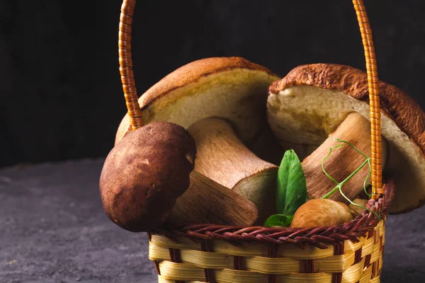 Stillleben Von Waldpilzen Korb Auf Dunklem Hintergrund — Stockfoto