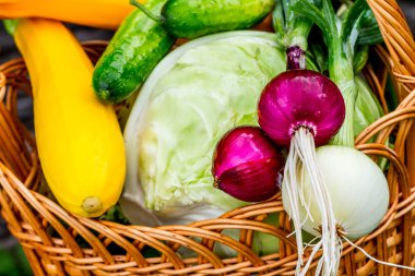Kabak, lahana, soğan ve hasır sepet salatalık görünümü Kapat