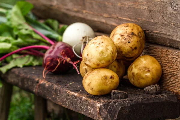 Frische Kartoffeln Rüben Zwiebeln Gemüseernte Herbst Gesunde Ernährung — Stockfoto