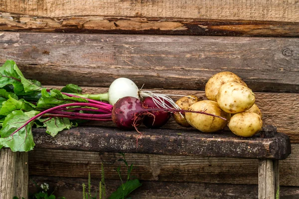 Frische Kartoffeln Rüben Zwiebeln Gemüseernte Herbst Gesunde Ernährung — Stockfoto