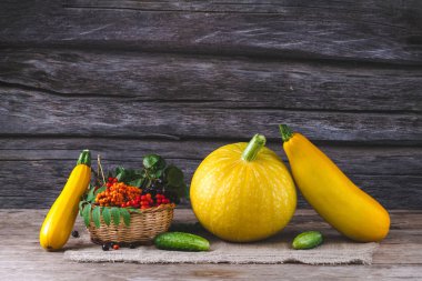 Dalları dağ kül, salatalık, kabak ve kabak sebze ahşap arka plan üzerinde. Sonbahar Tema