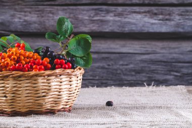 Hasır sepet kırmızı, turuncu ve siyah dağ kül. Sonbahar Tema. Kopya alanı