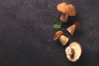 Koyu arka plan üzerinde orman mantar ayrıntı görünümü.