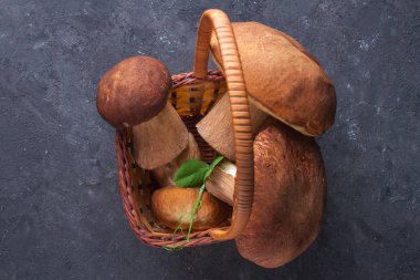 Koyu arka plan üzerinde orman mantar sepeti üstten görünüm.