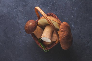 Koyu arka plan üzerinde orman mantar sepeti üstten görünüm.