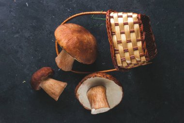 Orman mantar sepeti koyu arka plan üzerine saçılan üstten görünüm