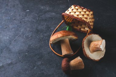 Orman mantar sepeti koyu arka plan üzerine saçılan üstten görünüm