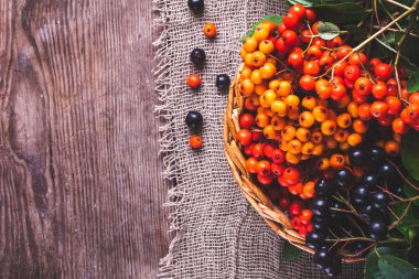 Hasır sepet kırmızı, turuncu ve siyah dağ kül üstten görünüm. Sonbahar Tema. Kopya alanı