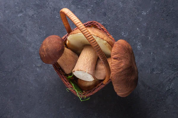 黑底篮下森林蘑菇的食物组成 — 图库照片
