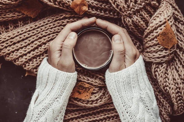 Cup of warm cocoa in female hands on background of knitted scarf and autumn leaves.