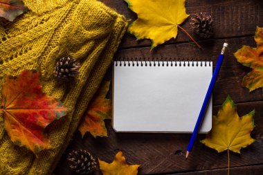 Sıcak, örgü kazak, çam kozalakları ve sonbahar akçaağaç ahşap bir arka plan üzerinde bırakır. Sonbahar giysileri. Kopya alanı