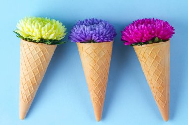 Mavi bir arka plan üzerinde bir gözleme boynuz çiçeklenir. Çiçek kavramı. 