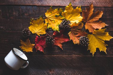 Beyaz kupa, çam kozalakları ve sonbahar akçaağaç yaprakları bir ahşap zemin üzerinde. Sonbahar konsepti