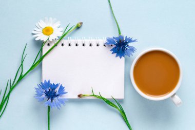 Peygamber ve mavi bir arka plan üzerinde papatya ile kahve fincan. Üstten görünüm. Kahve ve çiçek. Uzay kopyalayın. Mockup