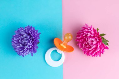 Evlenmek için teklif. Nişan. Gebelik planlama. Gebelik kavramı. Gelecekte anne ve annelik. Hediye kutusunda meme ucu. Düğün. Kopya alanı 