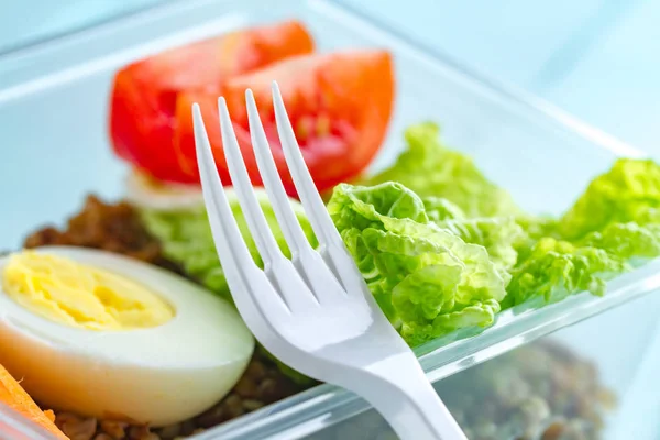 Comida Sana Saludable Recipiente Plástico Snack Hora Del Almuerzo Dieta — Foto de Stock