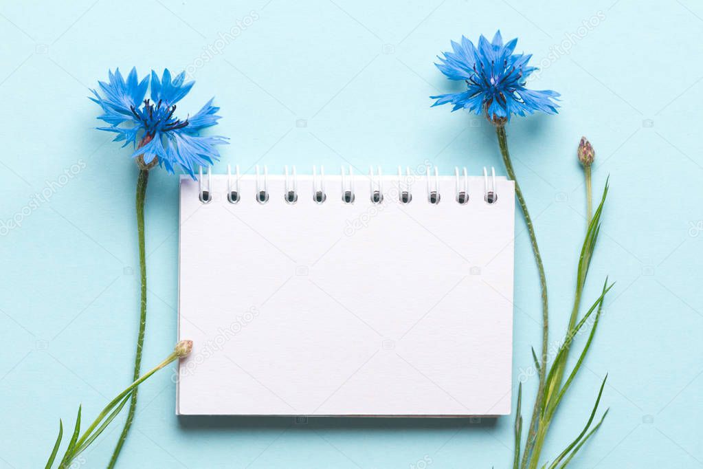 Spring, holiday background. Cornflowers and space for text on a blue background. Copy space. Mockup 