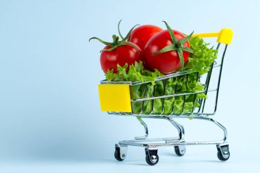 Diyet kavramı. Bir alışveriş sepeti taze sebze. Sağlıklı, doğru beslenme. Doğru bir konsepti yemek 