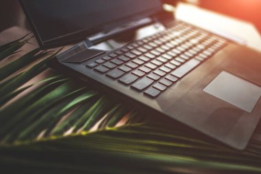 Internet üzerinde kazanç çevrimiçi çalışmayı. Freelancing ve uzak iş kavramı. Dünyada her yerden çalışma