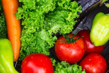 Taze, temiz sebze salatası yemek pişirmek için. Doğru ve sağlıklı gıda. Diyet 