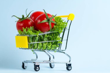 Diyet kavramı. Bir alışveriş sepeti taze sebze. Sağlıklı, doğru beslenme. Doğru bir konsepti yemek 