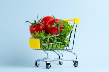 Diyet kavramı. Bir alışveriş sepeti taze sebze. Sağlıklı, doğru beslenme. Doğru bir konsepti yemek 