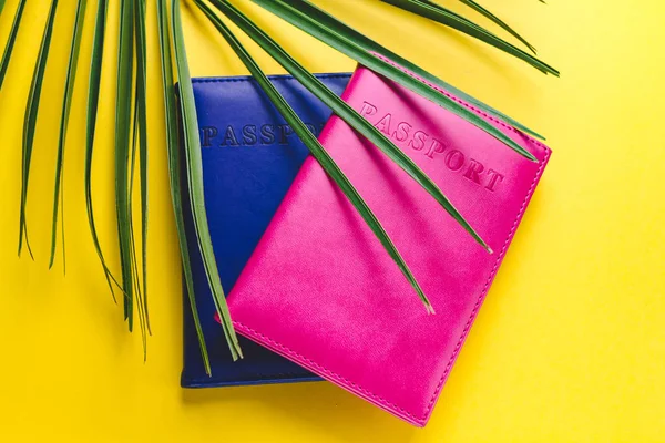 Pasaportlar ve palmiye ağacı dalı. Seyahat ve tatil kavramı