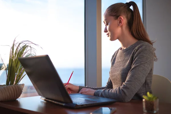 Junge Attraktive Geschäftsfrau Die Mit Einem Laptop Online Einem Neuen — Stockfoto