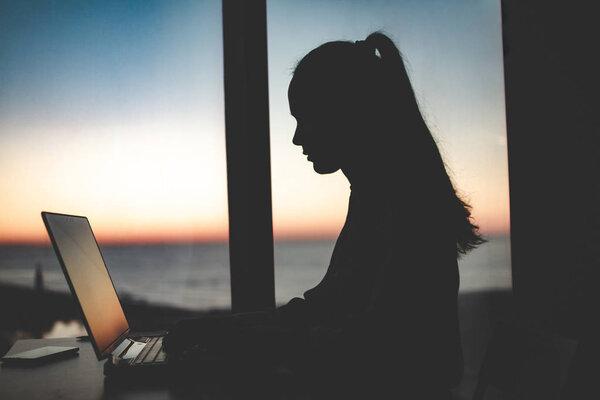 Силуэт деловой женщины, работающей допоздна за ноутбуком против
 